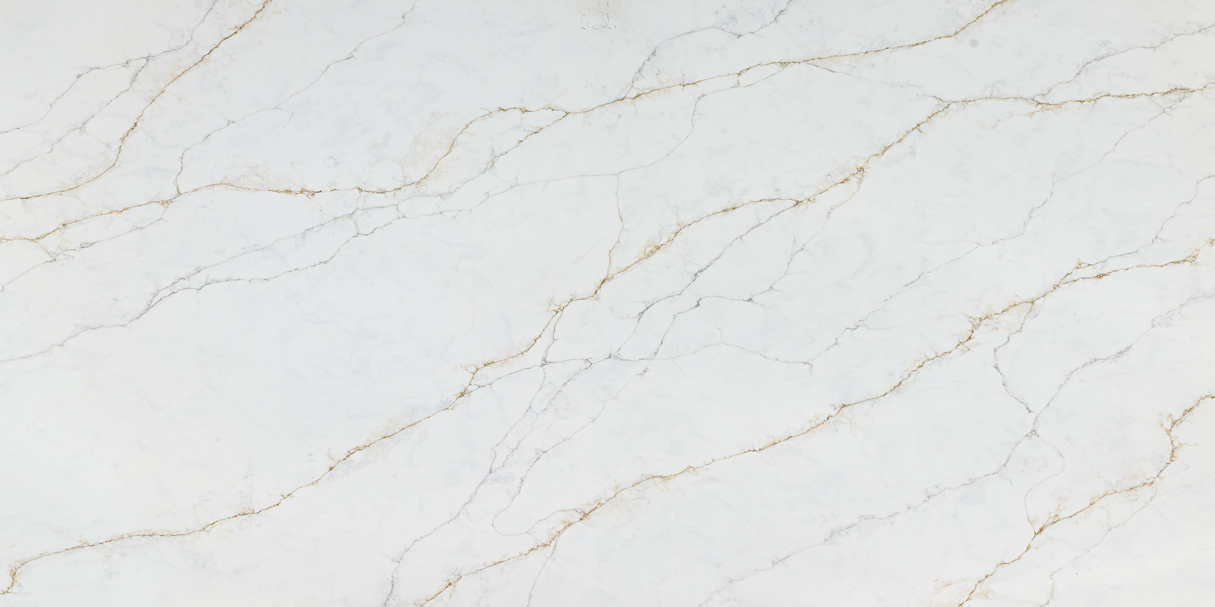 Calacatta Sicilia quartz slab