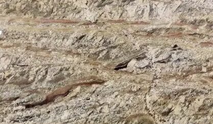 Netuno Bordeaux granite slab